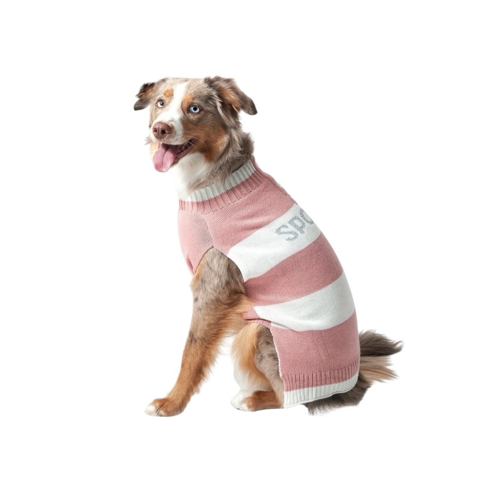 Vibrant Life Winter Spoiled Pink Pet Sweater, Medium